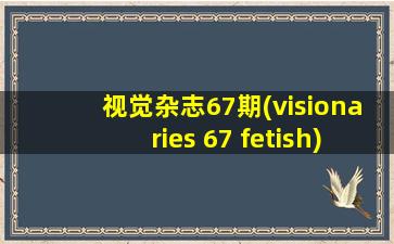 视觉杂志67期(visionaries 67 fetish)